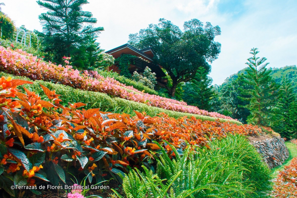Terrazas De Flores Botanical Garden In Busay Cebu S Rainbow