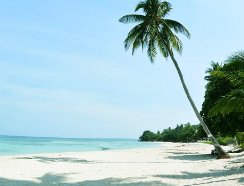 32 Amazing Cebu Beaches You Need to Visit This Summer 2018